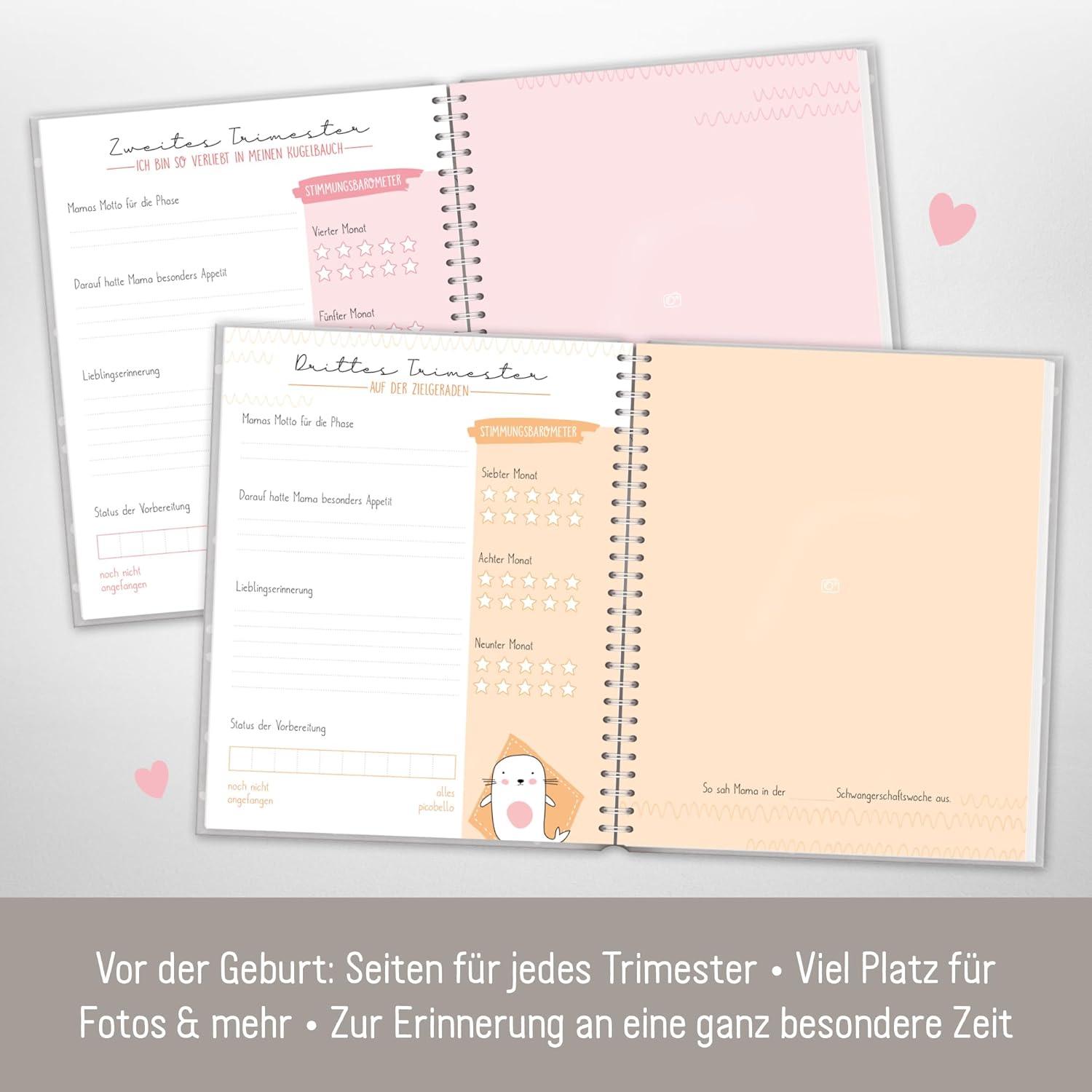 Häfft® Babyalbum 'Dotty Tiger' - Erinnerungsalbum für Schwangerschaft und erstes Jahr Häfft® Babyalbum 'Dotty Tiger' - Erinnerungsalbum für Schwangerschaft und erstes Jahr