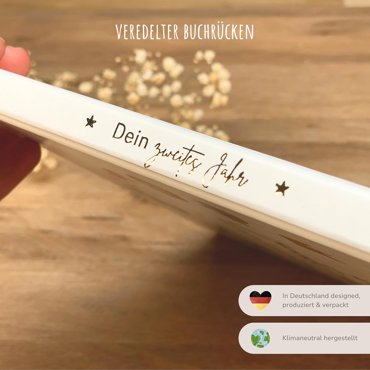 MeinBaby123® Babyalbum: Erinnerungen an das 2. Lebensjahr MeinBaby123® Babyalbum: Erinnerungen an das 2. Lebensjahr