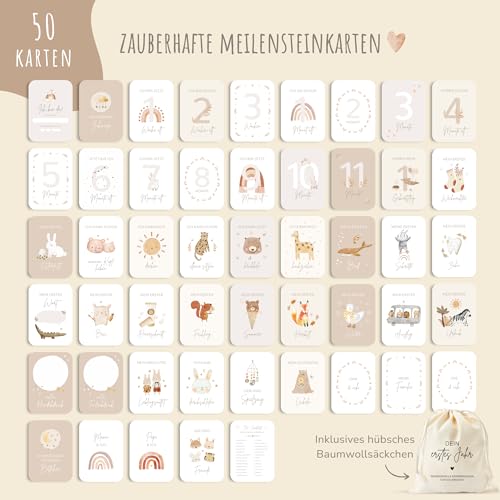 MeinBaby123 Meilensteinkarten „Dein erstes Jahr" – 50 Karten, Boho Beige