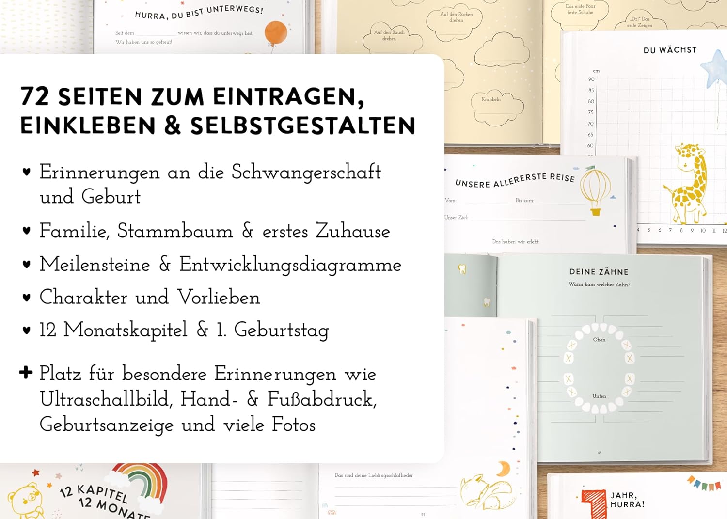 Mein erstes Jahr Babyalbum - Luxus Leinenbuch mit Goldprägung Mein erstes Jahr Babyalbum - Luxus Leinenbuch mit Goldprägung