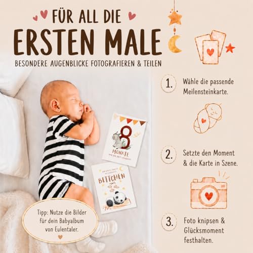 Eulentaler Meilensteinkarten Baby „Mein erstes Jahr" – 48 Karten, Boho