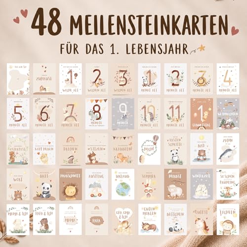 Eulentaler Meilensteinkarten Baby „Mein erstes Jahr" – 48 Karten, Boho