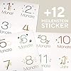 OLGS Babyalbum „Lino – Das bin ich!" mit Golddruck & Meilenstein-Stickern